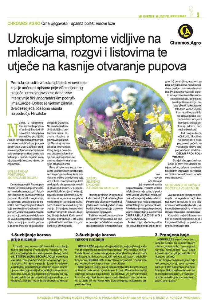 PRILOG GLASA ISTRE I AM GRUPE